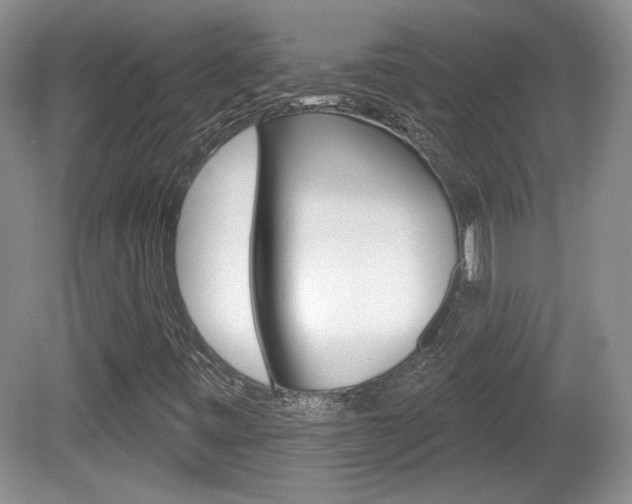 X0000080181443200612081121