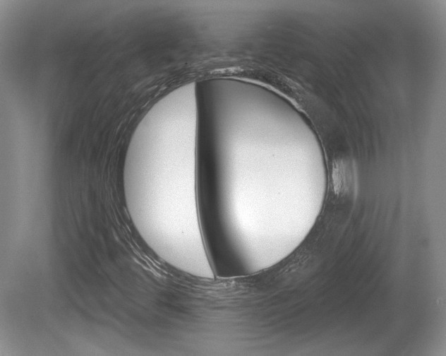 X0000080181444200612081121