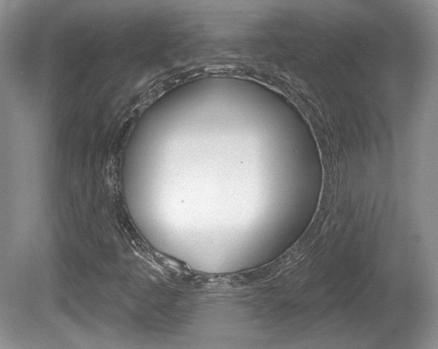 X0000080181445200612081121