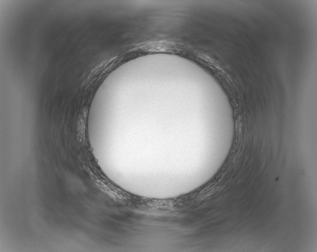 X0000080181446200612081121