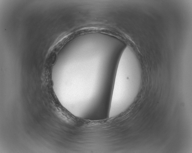 X0000080181448200612081121