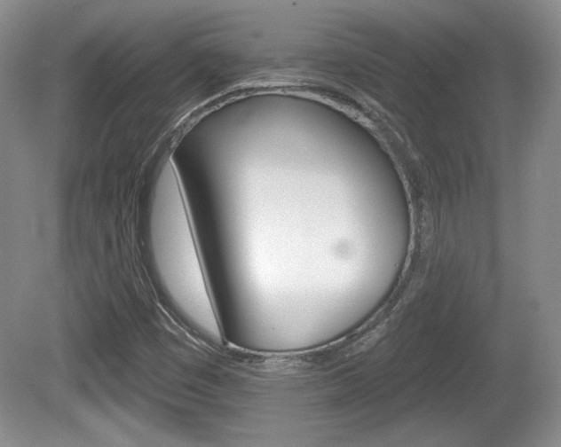 X0000080181449200612081121