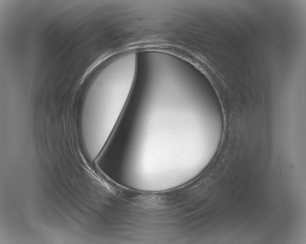 X0000080181450200612081121