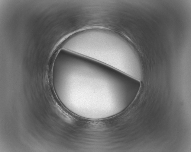 X0000080181452200612081121