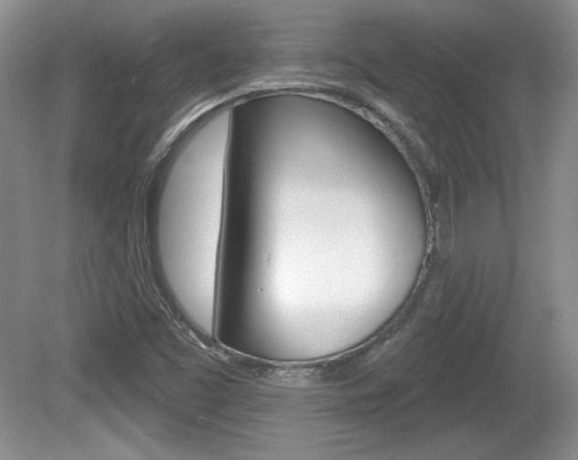 X0000080181453200612081121
