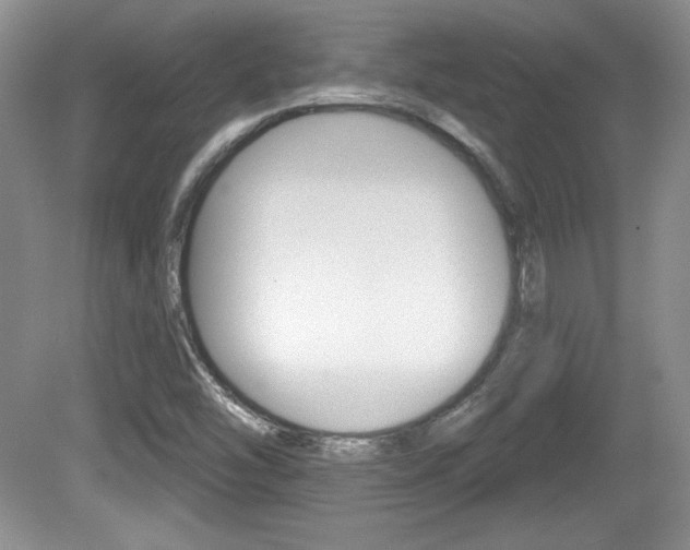 X0000080181454200612081121