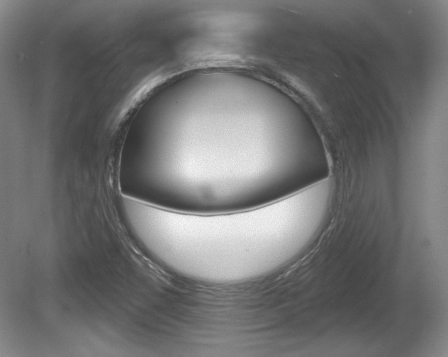 X0000080181455200612081121