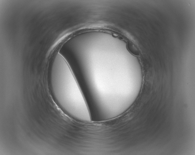 X0000080181456200612081121