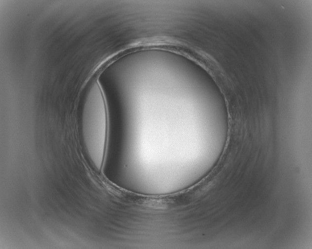 X0000080181457200612081121