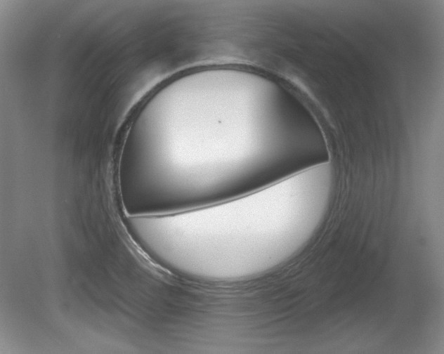 X0000080181460200612081121