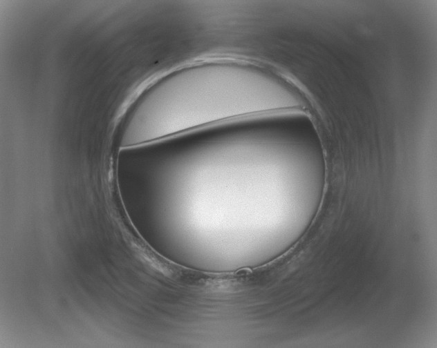 X0000080181461200612081121