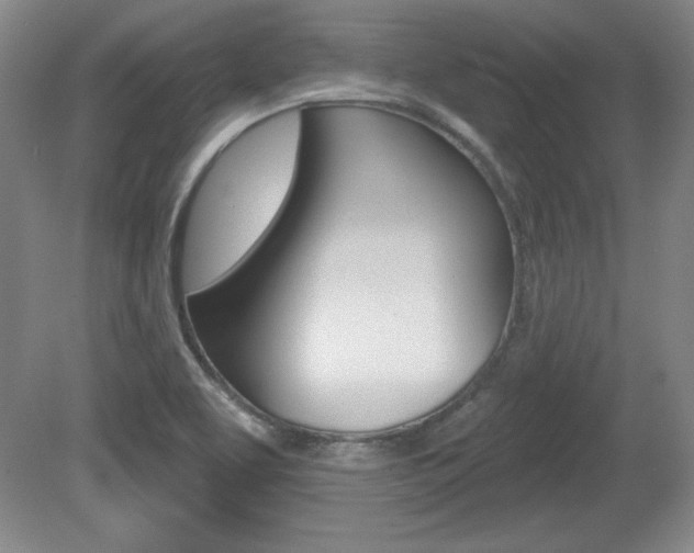 X0000080181463200612081121
