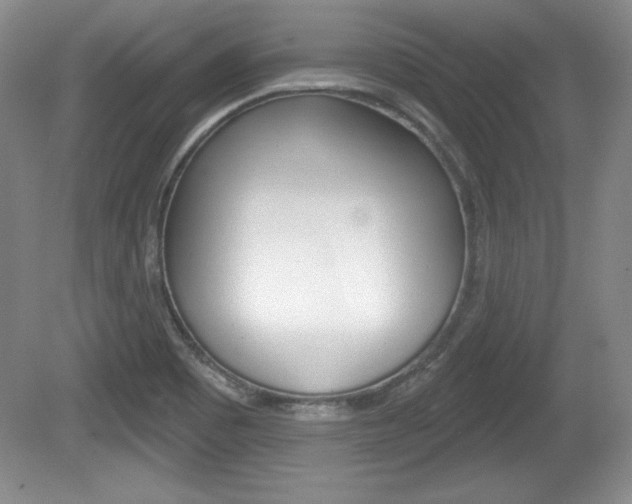 X0000080181465200612081121