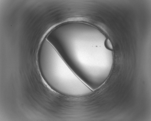 X0000080181468200612081121