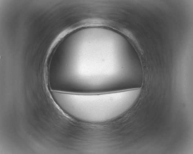 X0000080181472200612081121