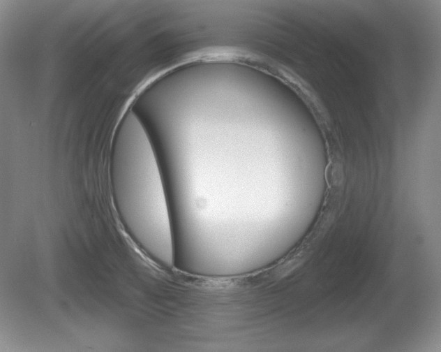 X0000080181473200612081121