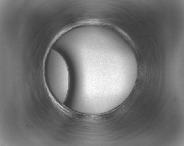 X0000080181475200612081121