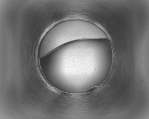 X0000080181477200612081121
