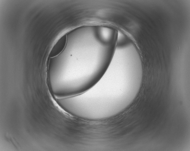 X0000080181479200612081121
