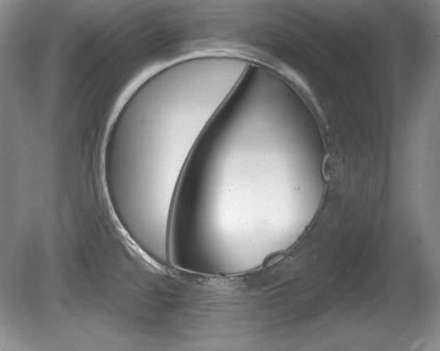 X0000080181480200612081121