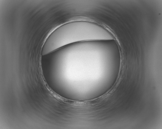 X0000080181481200612081121