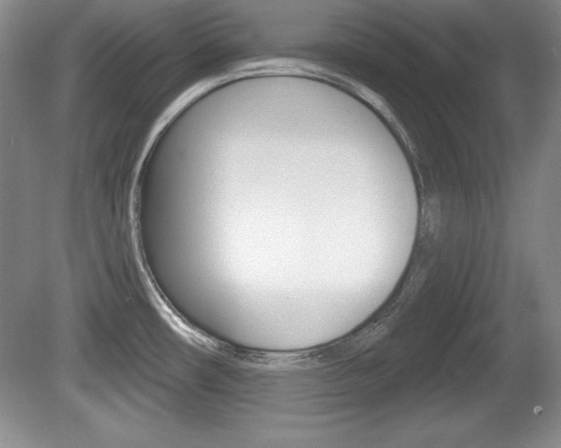 X0000080181482200612081121