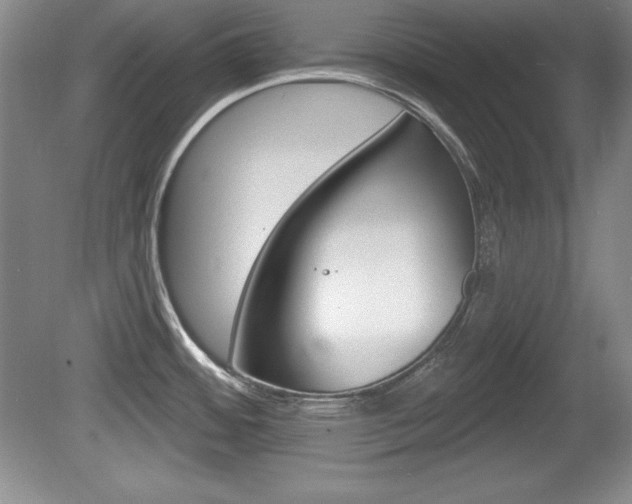 X0000080181484200612081121