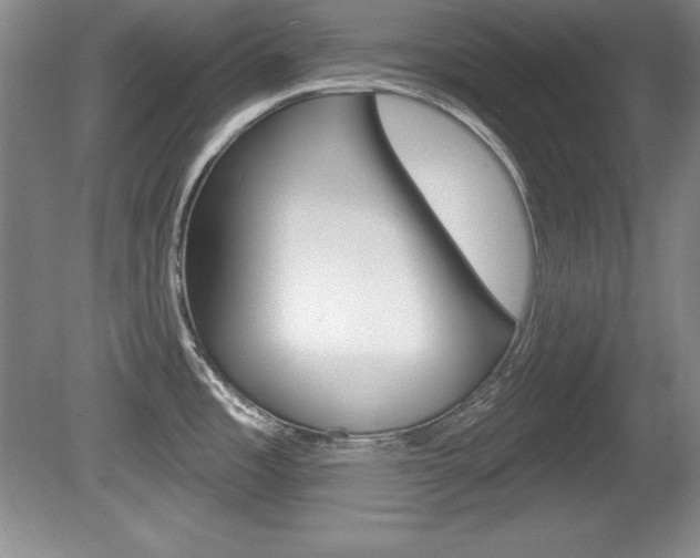 X0000080181485200612081121