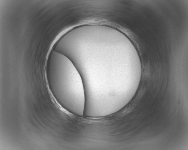 X0000080181486200612081121