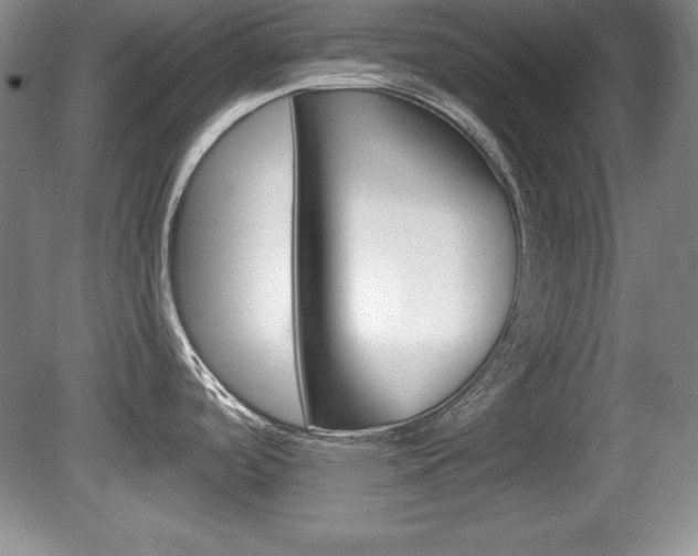 X0000080181488200612081121