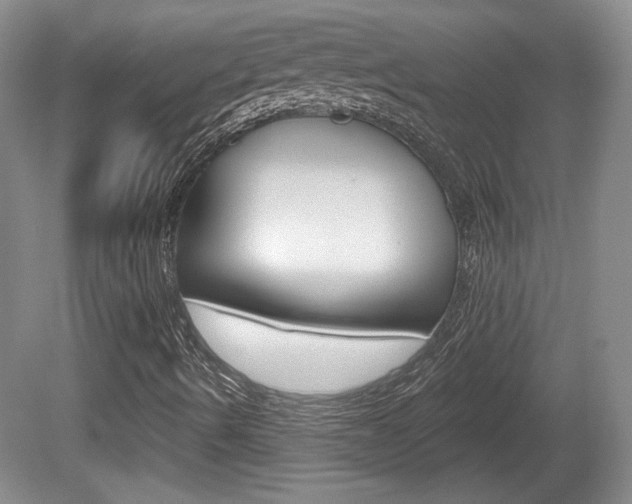X0000080181490200612081120