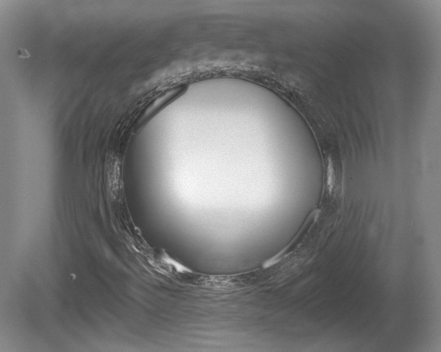 X0000080181492200612081120