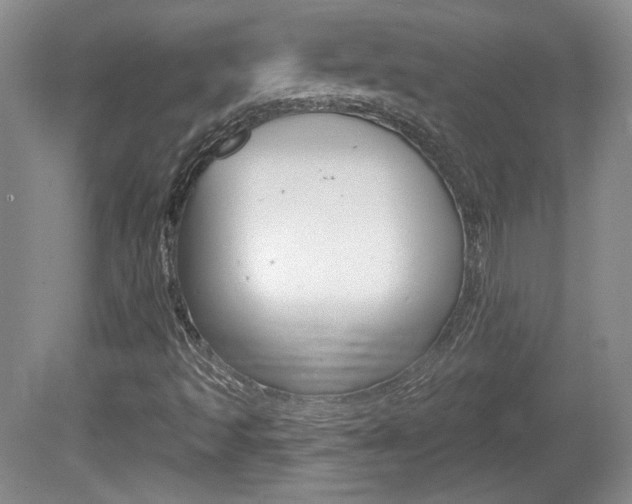 X0000080181493200612081120