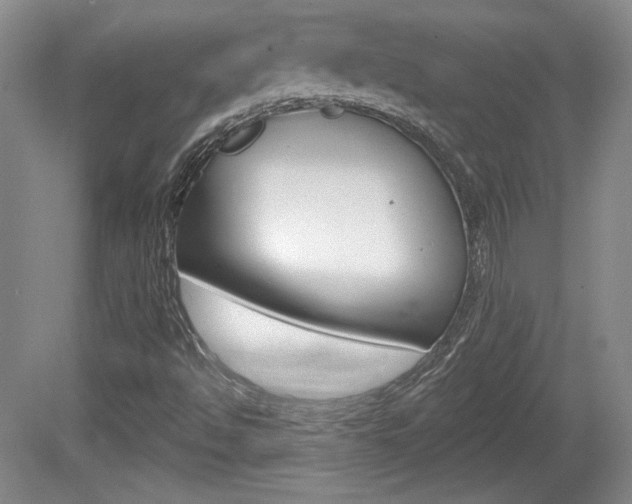 X0000080181494200612081120