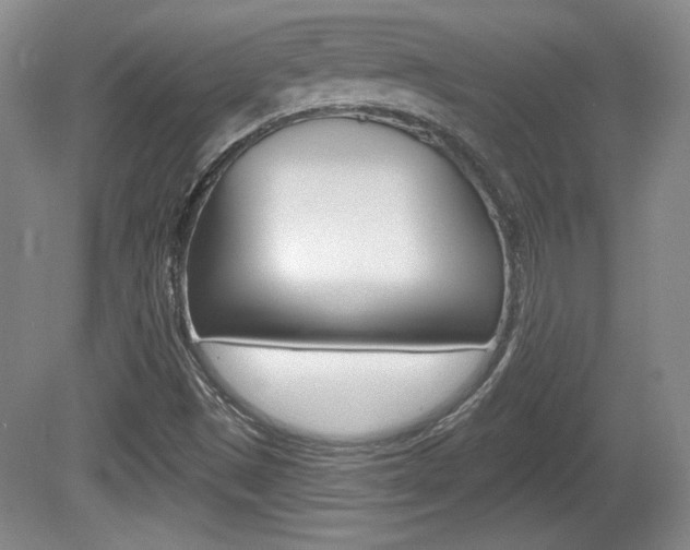 X0000080181497200612081120