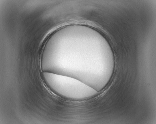 X0000080181498200612081120