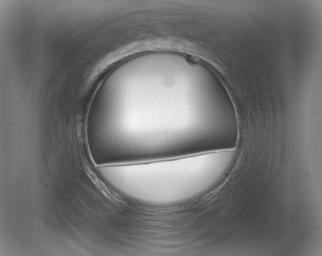 X0000080181499200612081120