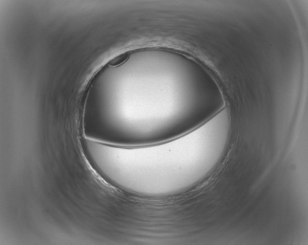 X0000080181500200612081120