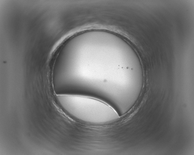 X0000080181502200612081120