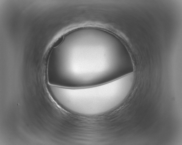 X0000080181504200612081120