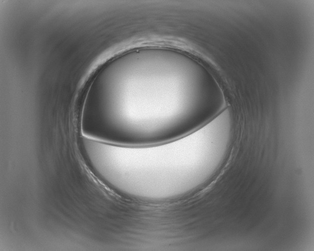 X0000080181506200612081120