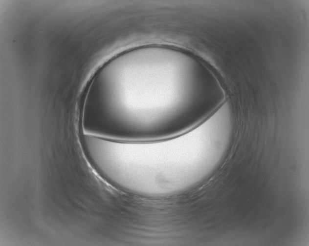X0000080181508200612081120