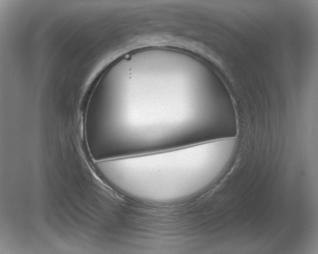 X0000080181509200612081120