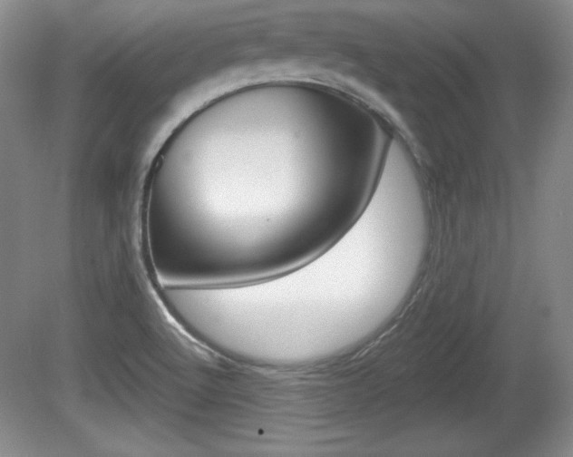 X0000080181512200612081120