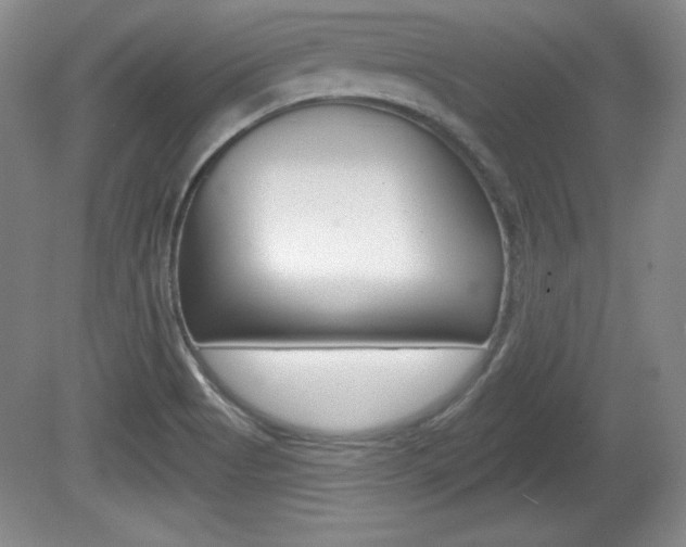X0000080181513200612081120