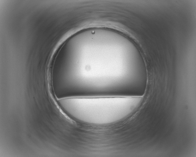 X0000080181517200612081120