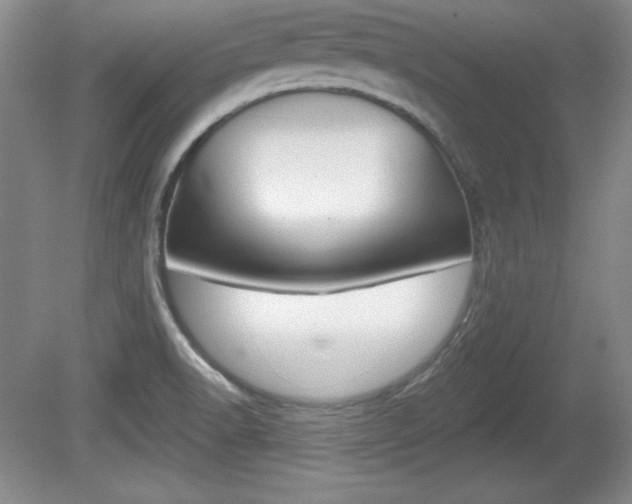 X0000080181518200612081120