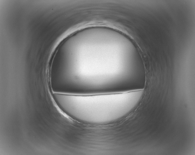 X0000080181519200612081120