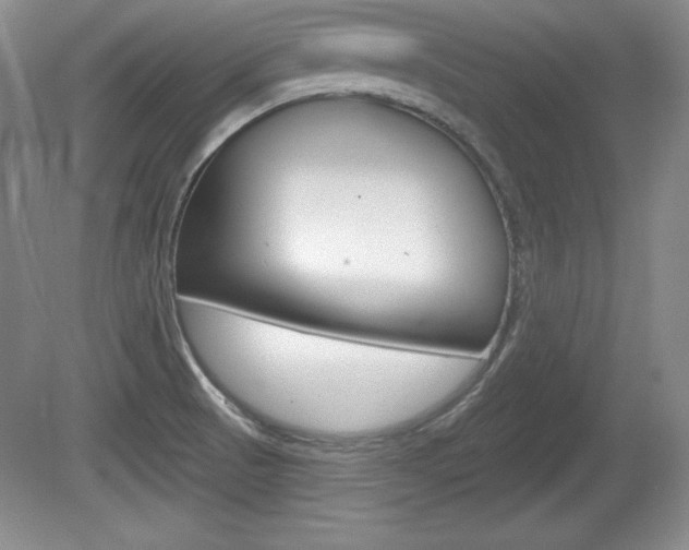 X0000080181521200612081120