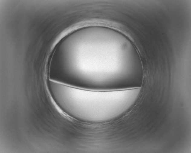 X0000080181523200612081120